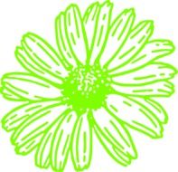 drawing of a green flower