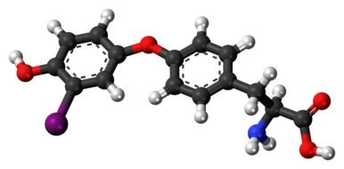 monoiodothyronine, aromatic molecule, 3d model