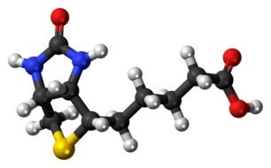 drawing of a vitamin model