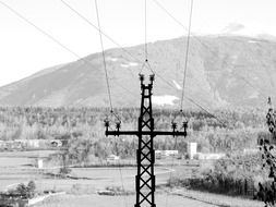 black and white photo of energy power line