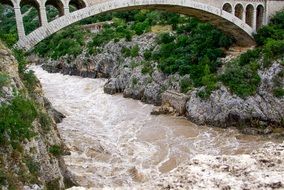 torrent bridge