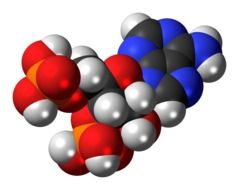 molecule adenosine bisphosphate in chemistry