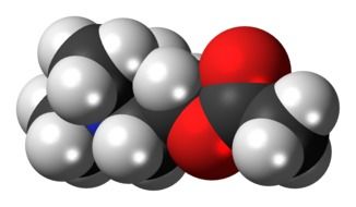 acetylcholine molecule in chemistry