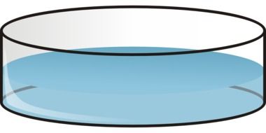 Blue water in a plate