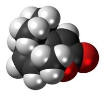model of actinidiolide molecule