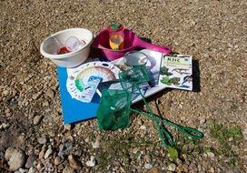 research on wetlands