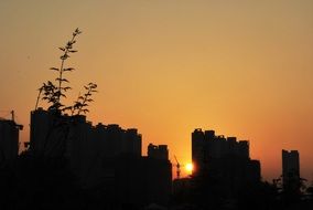 silhouette of Xi'an University of Technology at sunset