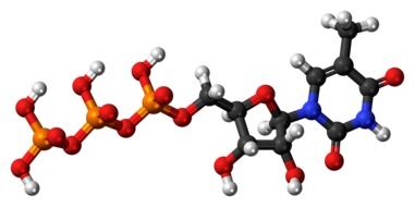 methyl uridine triphosphate molecule in chemistry