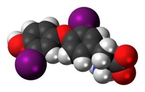 diiodotyrosine molecule in chemistry