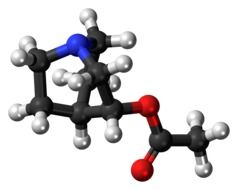 aceclidine molecule structure model