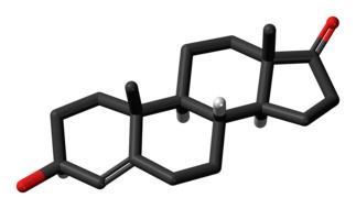 the steroid dehydroepiandrosterone