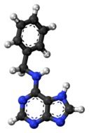benzylaminopurine molecule in chemistry