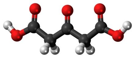 acetone dicarboxylic molecule conjugation model