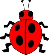 painted ladybug on white background