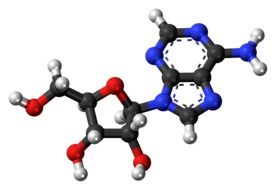 graphic image of deoxyribonucleoside molecule