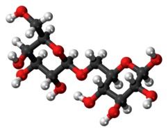 structure of the molecule allolactose