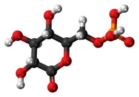 phosphogluconolactone molecule model drawing