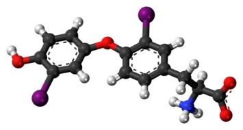diiodothyronine molecule in chemistry