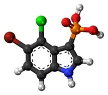 molecule of bromo chloro indolyl phosphate, colorful 3d model
