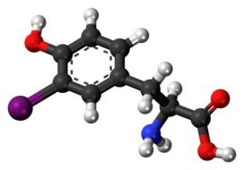iodotyrosine molecule model