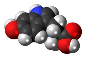 hydroxytryptophan, space-filling molecule model