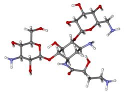 amikacin molecule, ball and stick model