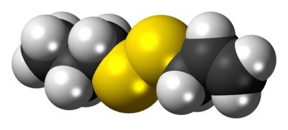 allylpropyldisulfide molecule in chemistry