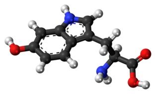 hydroxytryptophan molecule model in chemistry