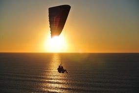 paragliders silhouettes above ocean at sunset