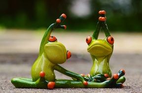 Frogs are doing gymnastics