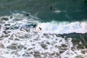 shoreline surfing