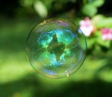 soap bubble colorful ball