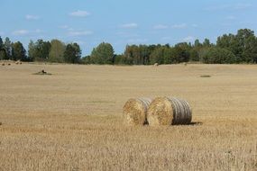 two rolled haystacks on a field in Sweden