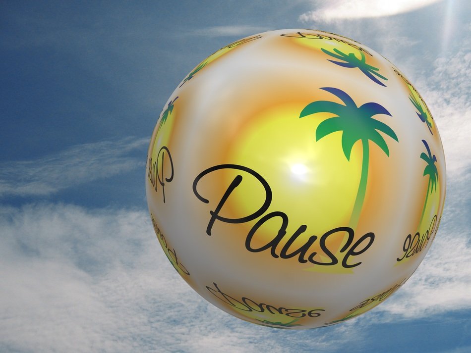 ball palm sun
