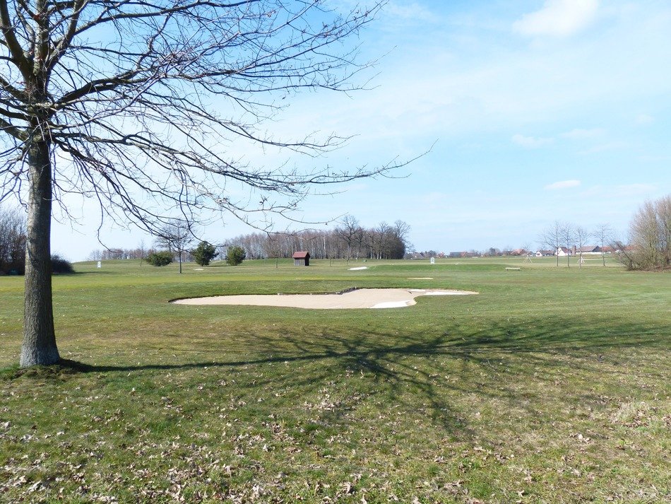 green area on the golf course