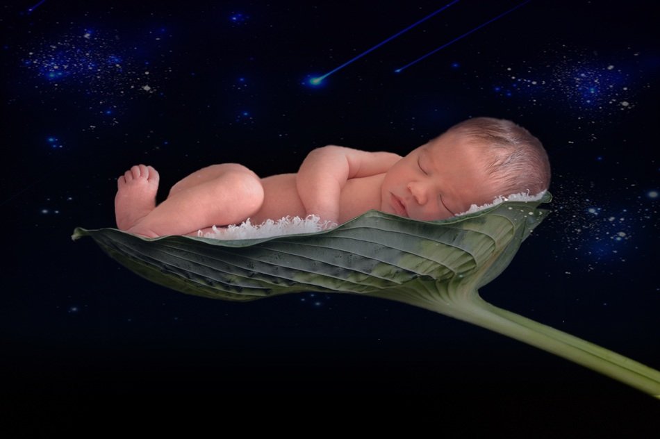 newborn baby on the leaf in space