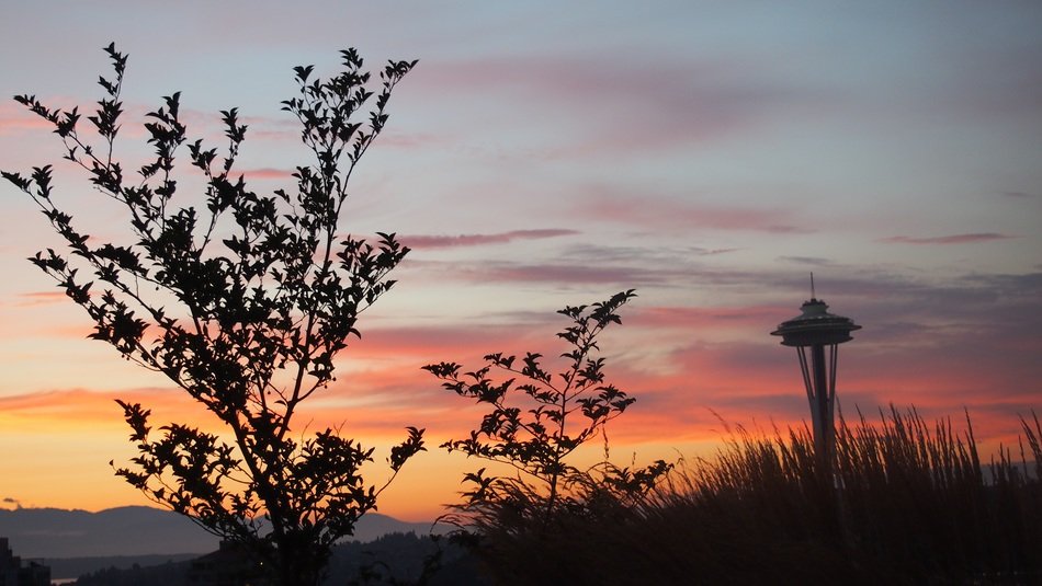 sunset over seattle
