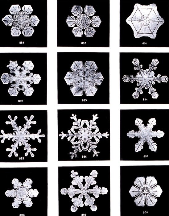 variety of ice crystals in the picture