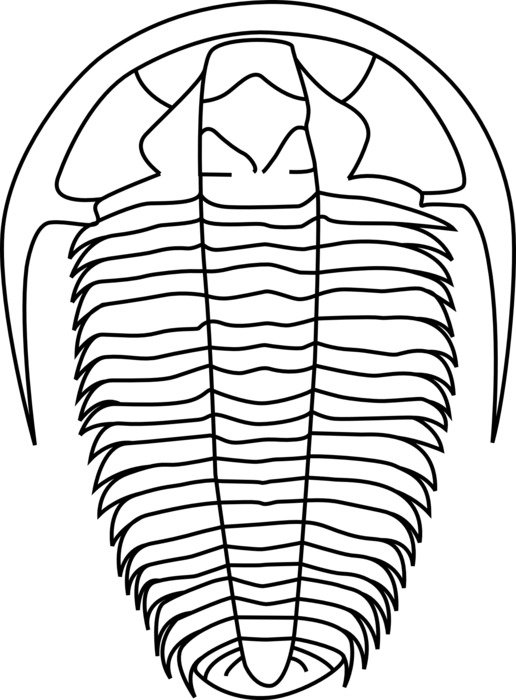 black and white drawing of an ancient animal