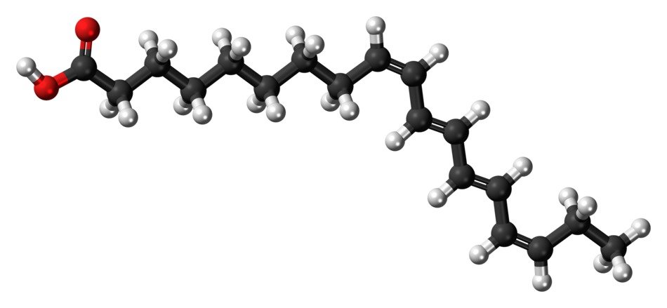 alpha parinaric acid as a drawing
