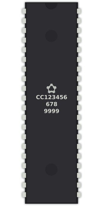 chip pins cc123456789999