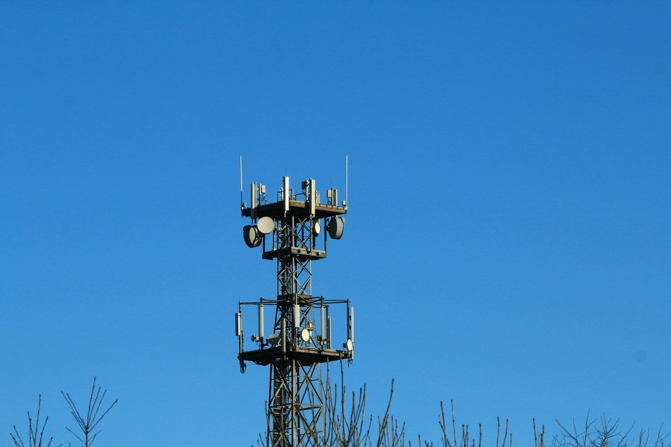 telecommunications masts and tops of the trees on blue sky background
