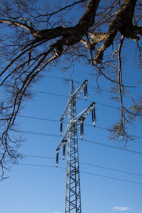 power lines under the trees