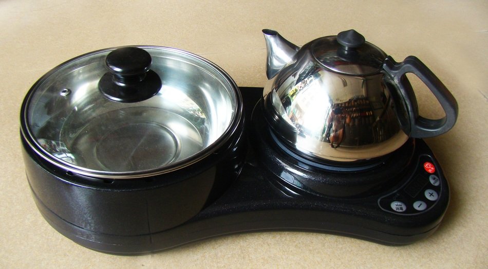 portable induction stove