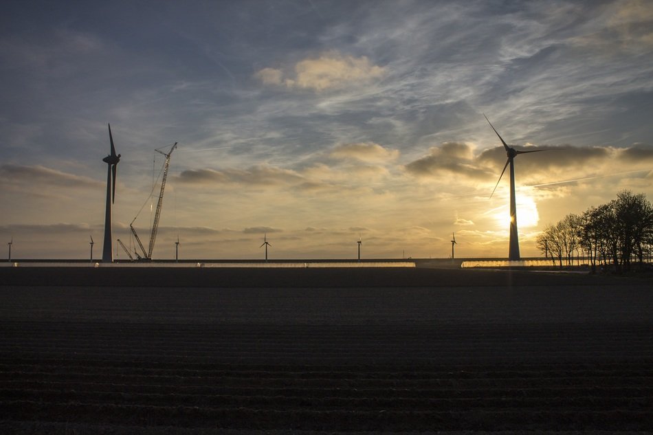 windmills on the field at dawn