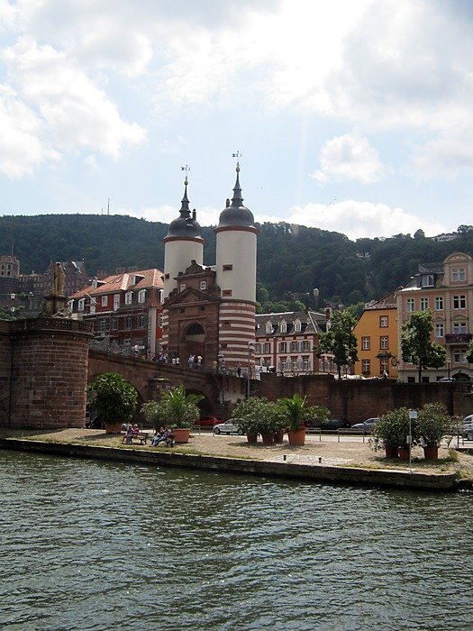 the flow of the Neckar Heidelberg river