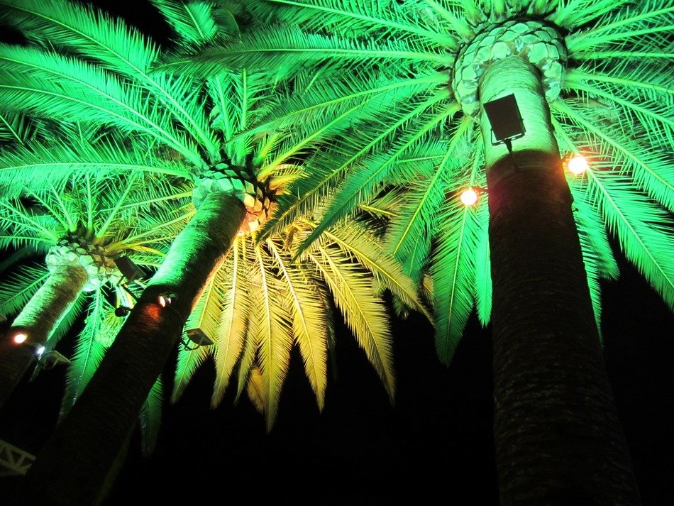 electricgreen light