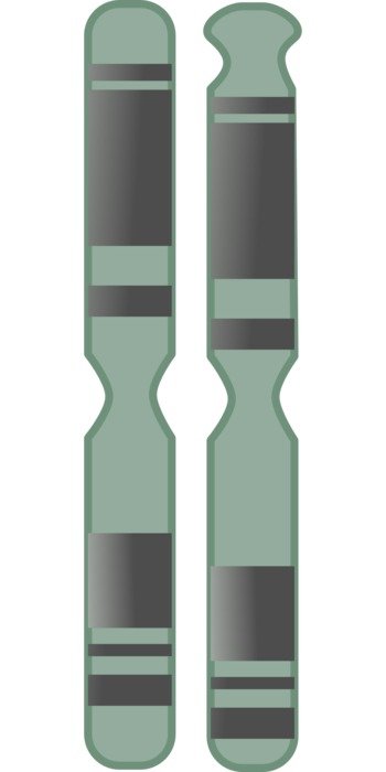 chromosome DNA base pairs in the cells drawing