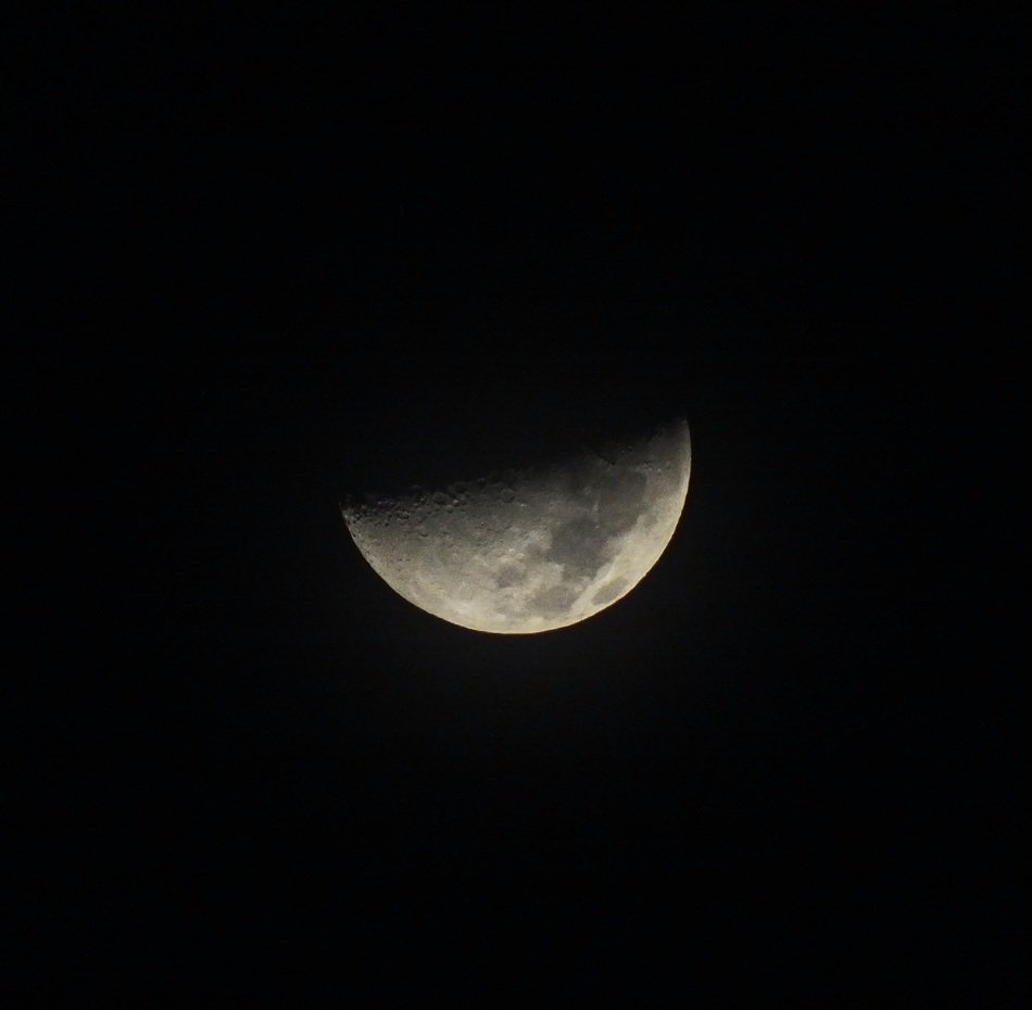 half moon in the dark sky