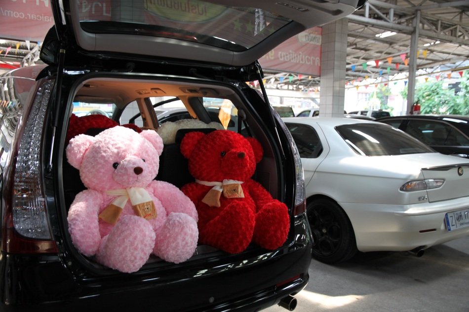 Pink and red plush bears in the trunk of the car